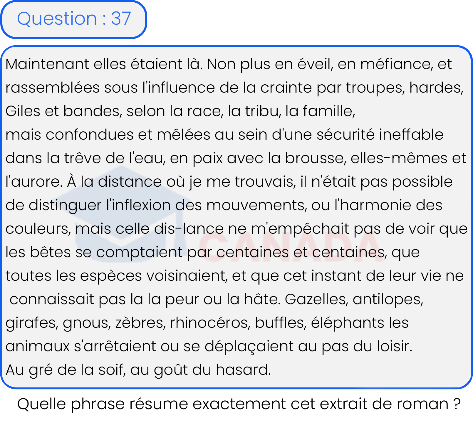 Question 37