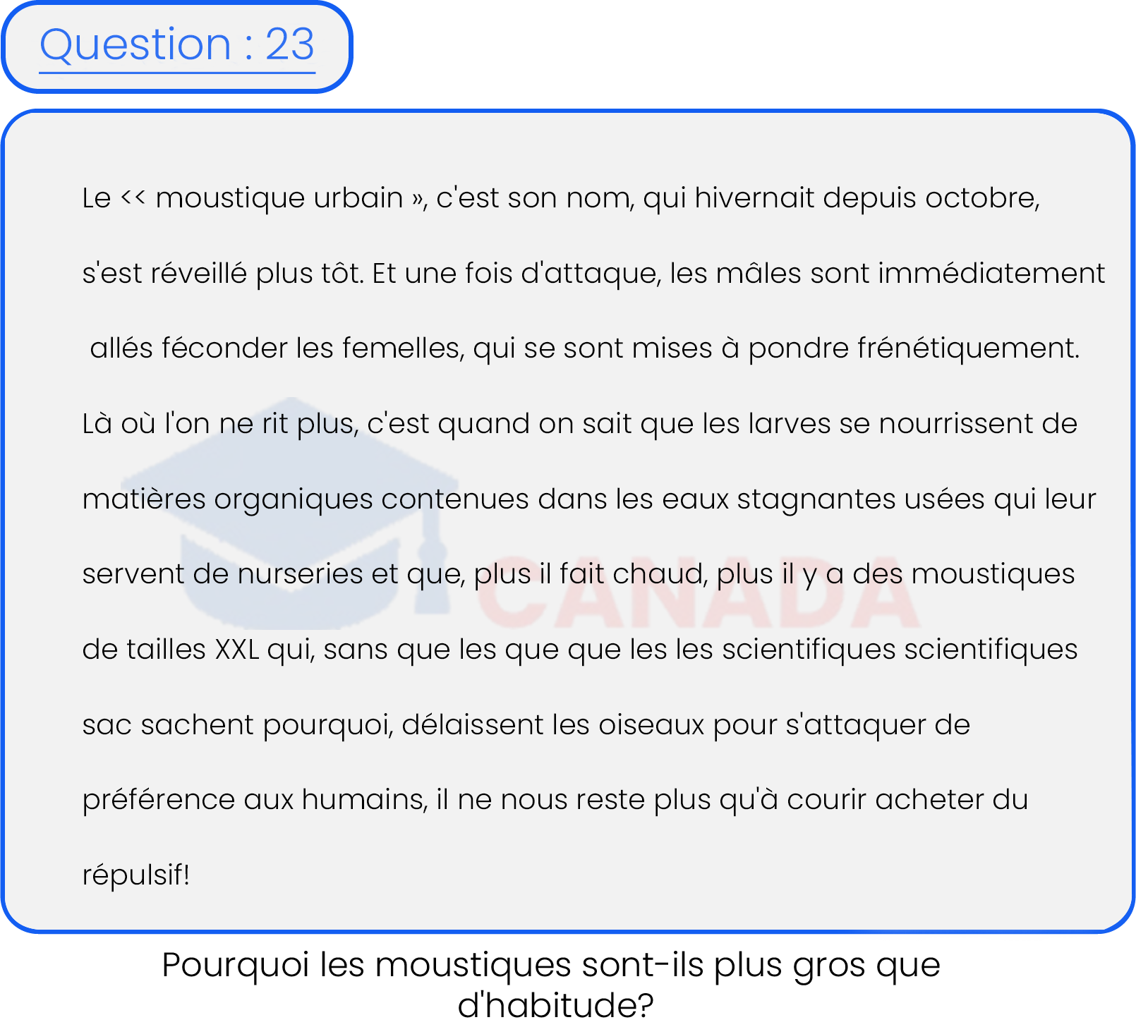 Question 23