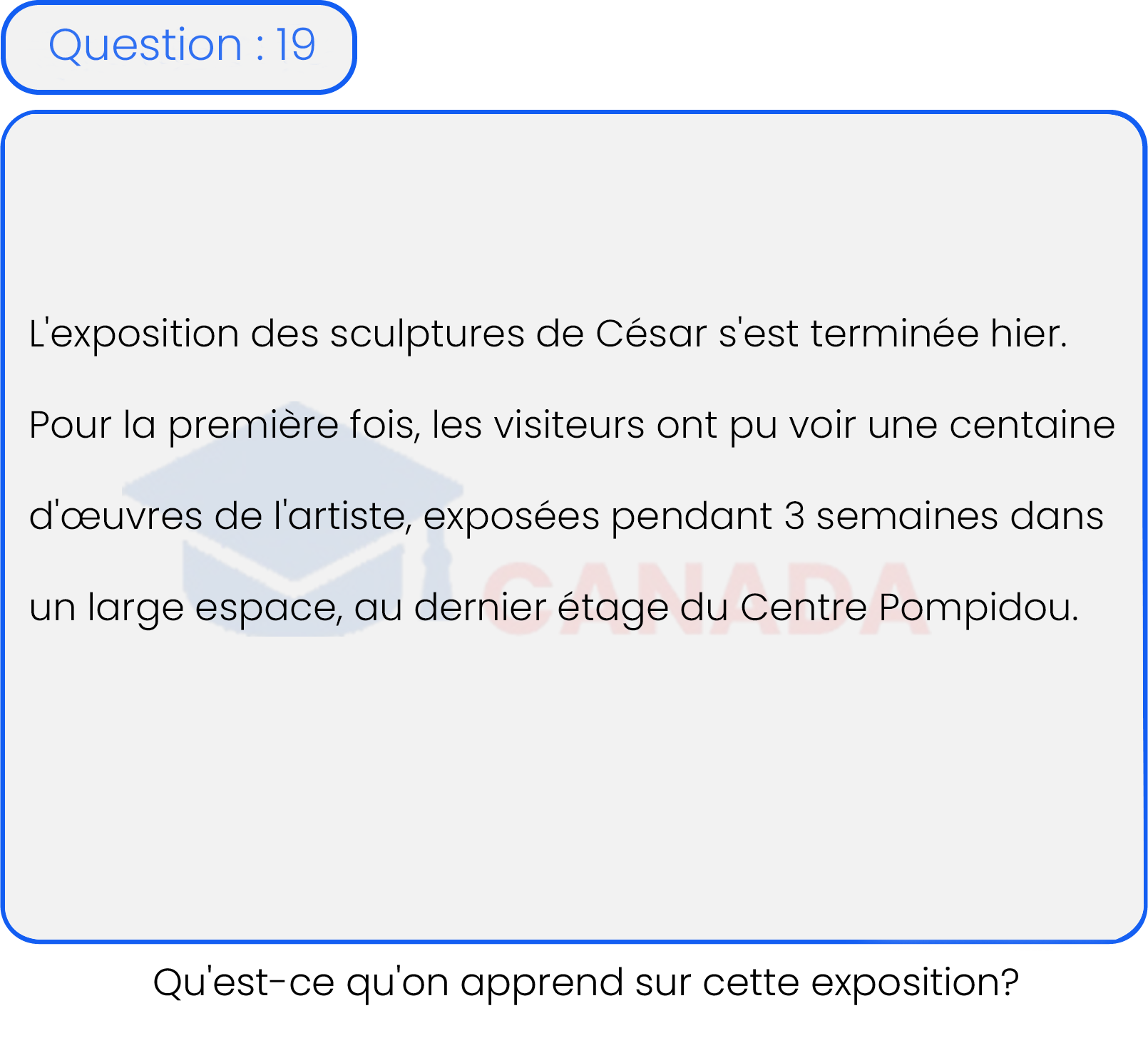 Question 19