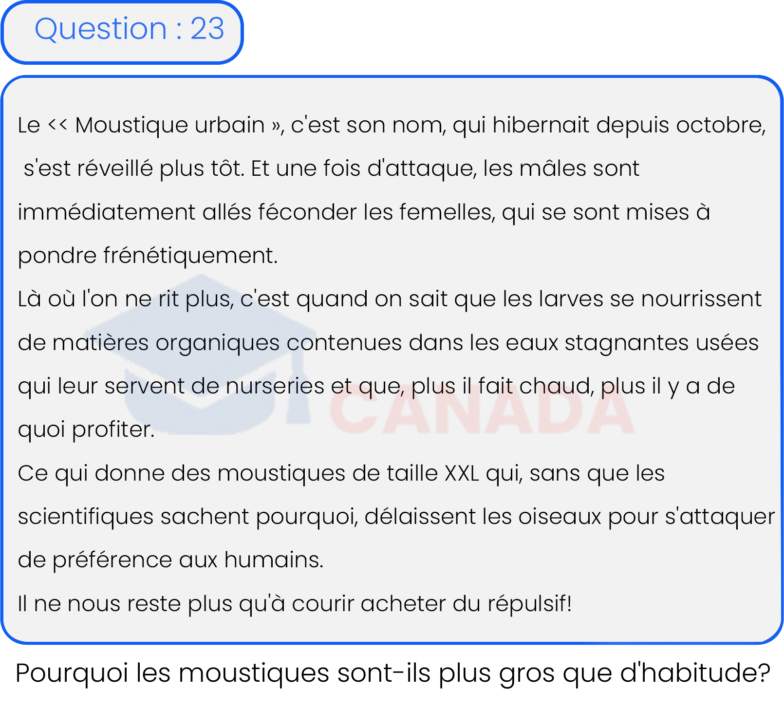 Question 23